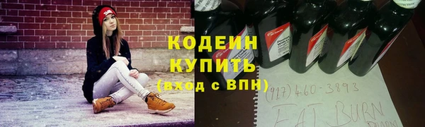 дживик Верхний Тагил