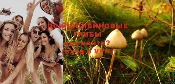 дживик Верхний Тагил