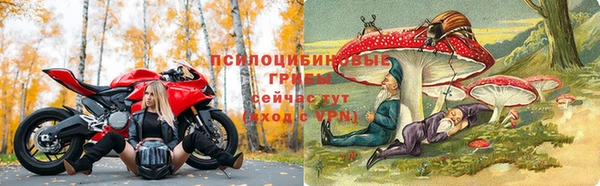 стафф Сафоново