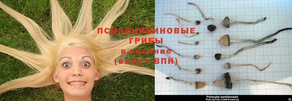 герыч Сатка